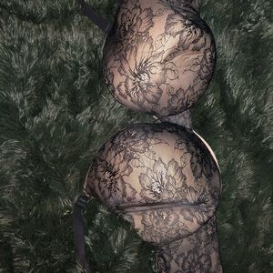 Lane Bryant bra 46ddd